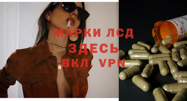 PSILOCYBIN Осташков