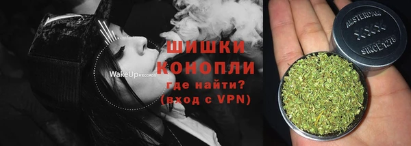 PSILOCYBIN Осташков